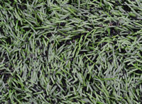 flattened artificial pitch pile